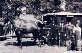 Zo trok Vriezenveen naar Rusland (Foto: Historisch Museum Vriezenveen) Zoo trok Vriezenveen naar Rusland (Foto: Historisch Museum Vriezenveen)