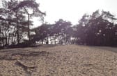 Het Wekeromse Zand op de Veluwe in Gelderland Het Wekeromse Zand op de Veluwe in Gelderland