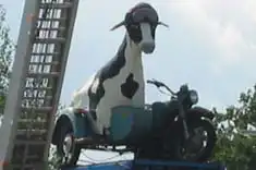 De bommetjes koe uit de melkunie reclame