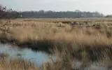 Nederland na het paleolithicum